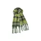 Green Scarf