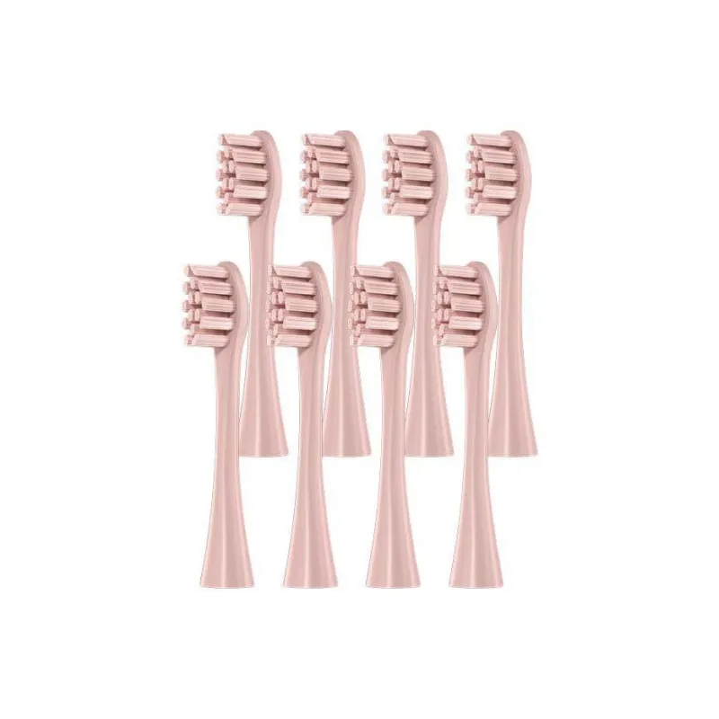 Fly Toothbrush Heads-5
