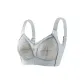 Silver Gray