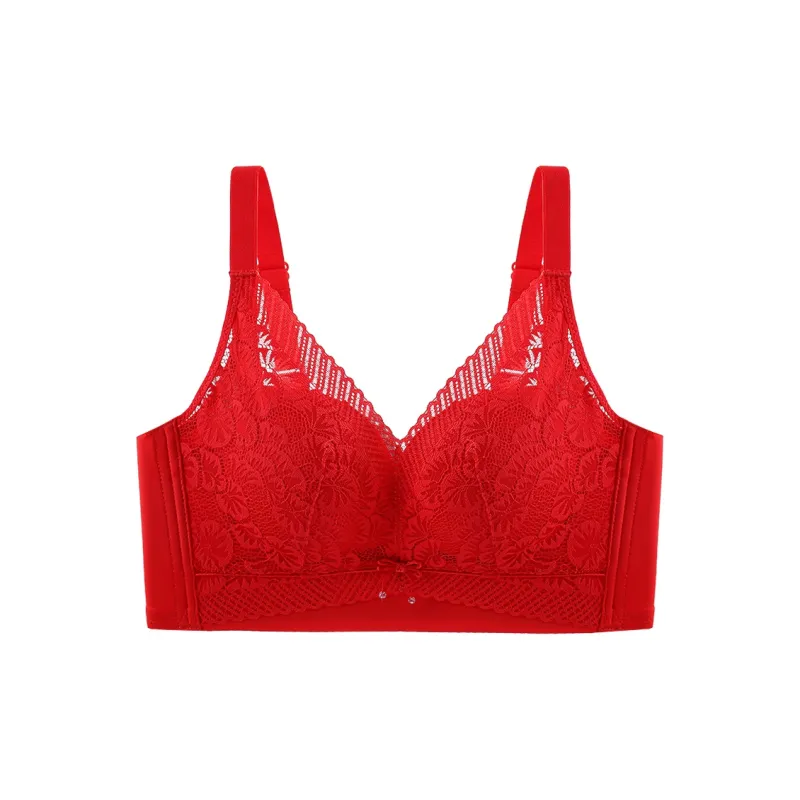 Lanza Women's Bras-1