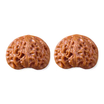 Master Kim Text Plays Walnuts Collectible Unisex