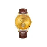 Brown Belt Gold Case Gold Dial (Box Included)