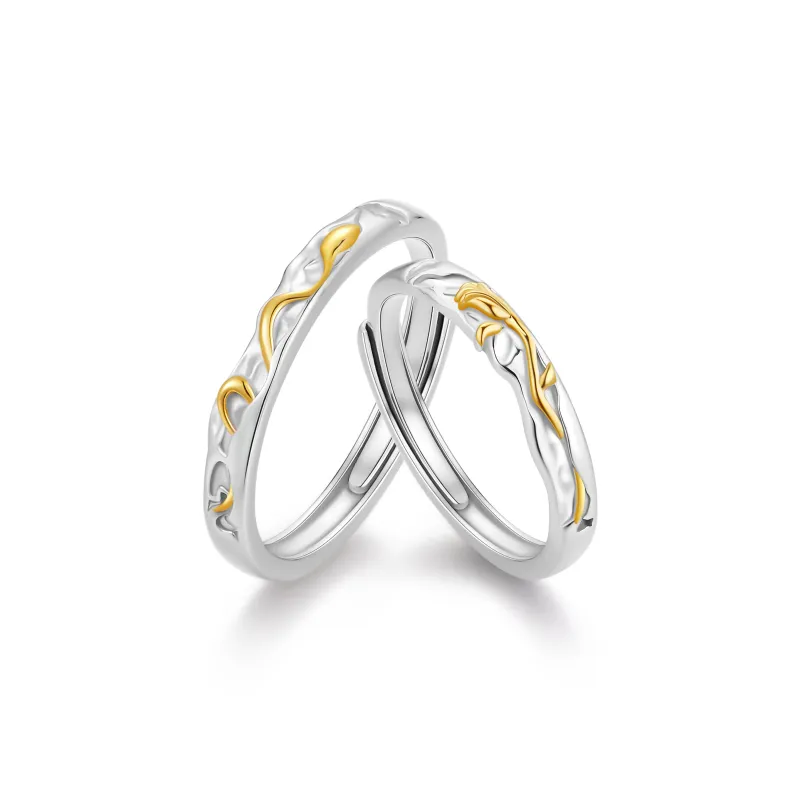 ZSY Silver 925 Ring 'Love Forever' Unisex-0