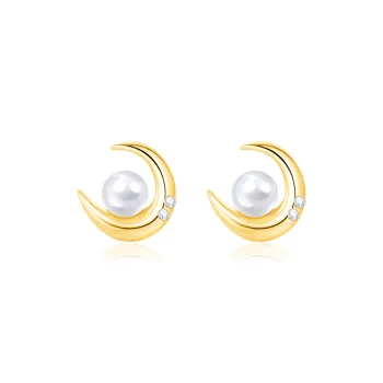 ZANC S925 Silver Stud Earrings Women's