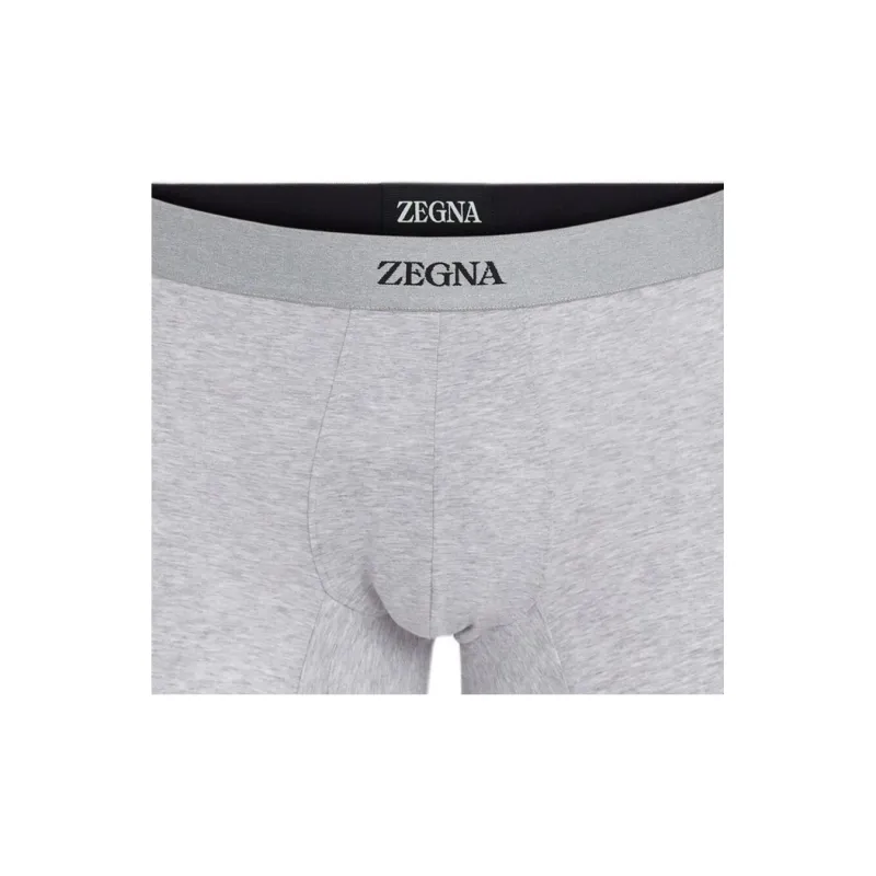 Ermenegildo Zegna Logo Detailed Elasticated Waistband Trunks-1