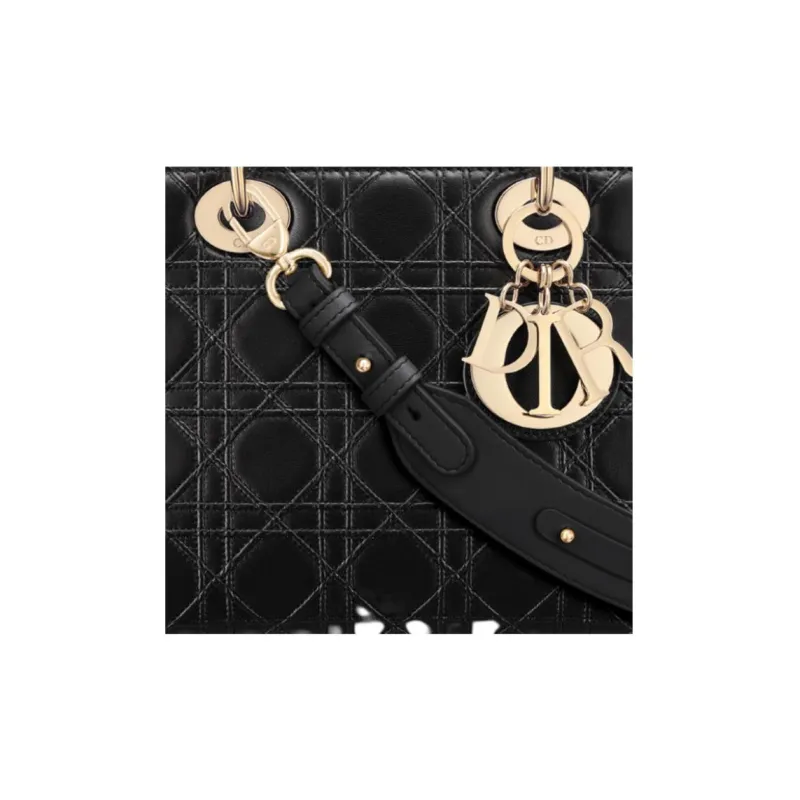DIOR Lady DiorMy ABCDior Sheepskin Shoulder Bag Crossbody Bag Handbag Small Size Women's Black-4