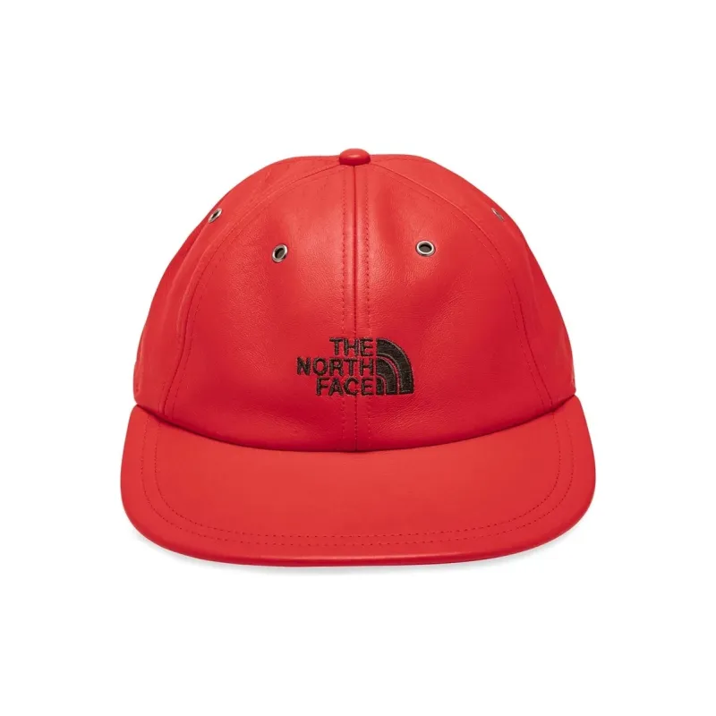 Supreme The North Face Leather 6 Panel-1