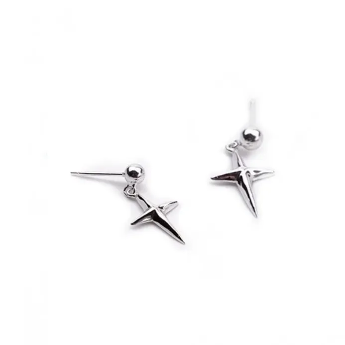 ZWU 925 Sterling Silver Earrings Unisex-2