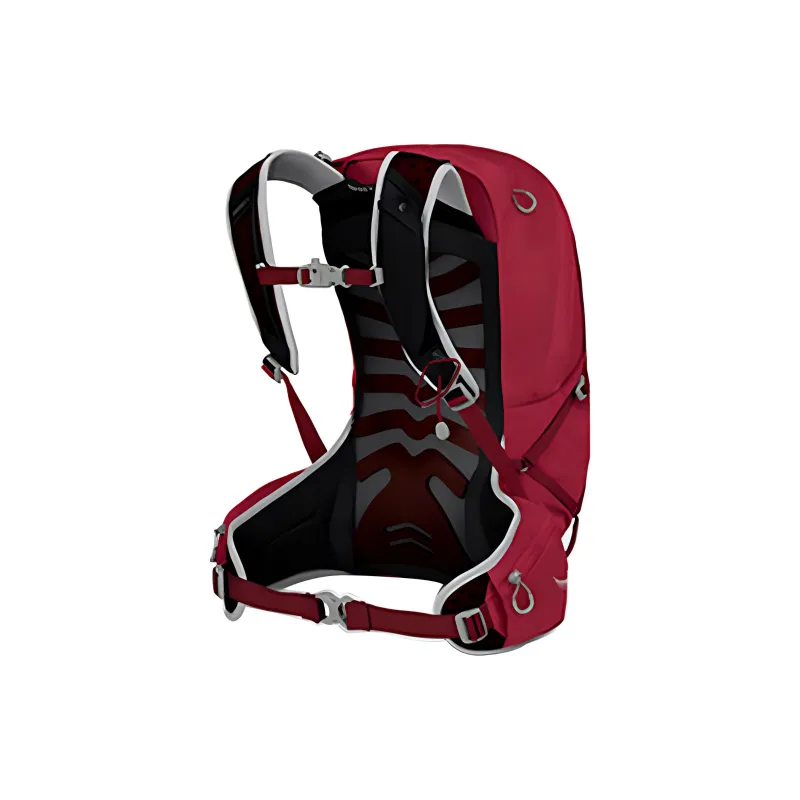 OSPREY Nylon Mountaineering Bag Backpack Regular Unisex Red-1