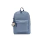 Style C Gray Blue Tone 00328