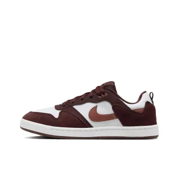 Nike Sb Alleyoop 'Mystic Dates Claystone Red' Women's