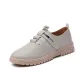 2502 Gray