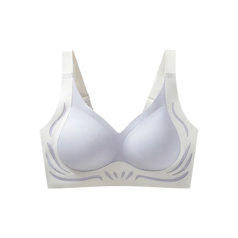 Lanza Women's Bras-14
