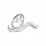 Silver Fs-093.ebA