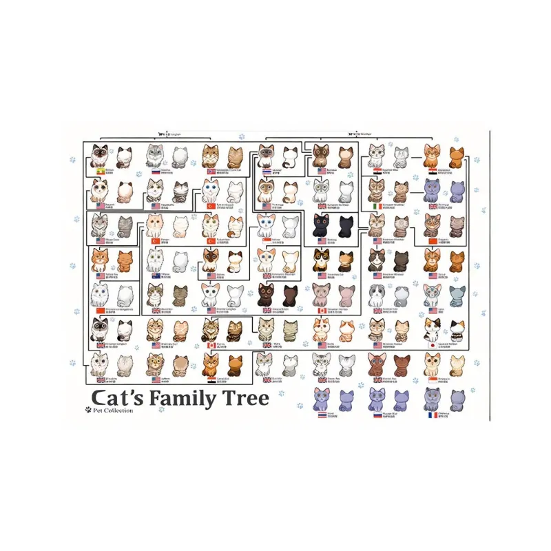 BOTOP Puzzles-1