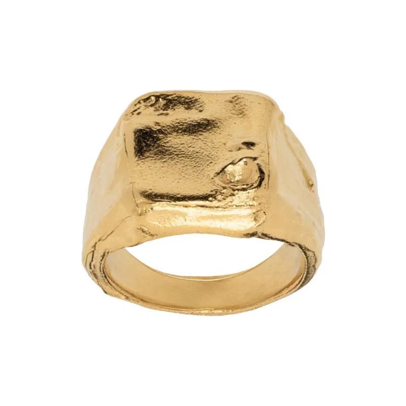 Alighieri Recycled 925 Silver Rings Men's Gold-1