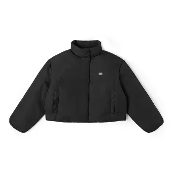Dickies Down Jacket Black DK0A87CABLK Unisex