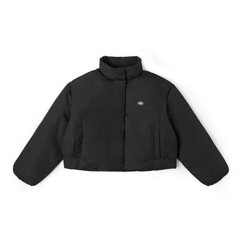 Dickies Down Jacket Black DK0A87CABLK Unisex
