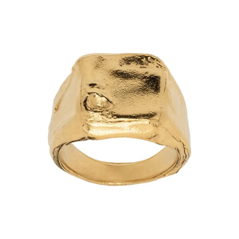 Alighieri Recycled 925 Silver Rings Men's Gold-0