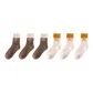 6 Pack (Coffee 3+Beige 3)