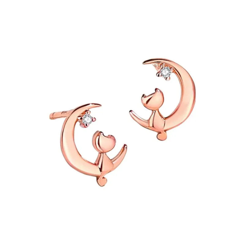 Princess Xuanjie 925 Sterling Silver Stud Earrings Unisex-4