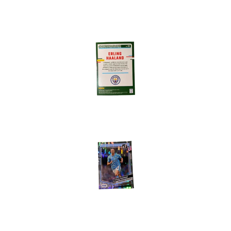 PANINI Sports Cards-2