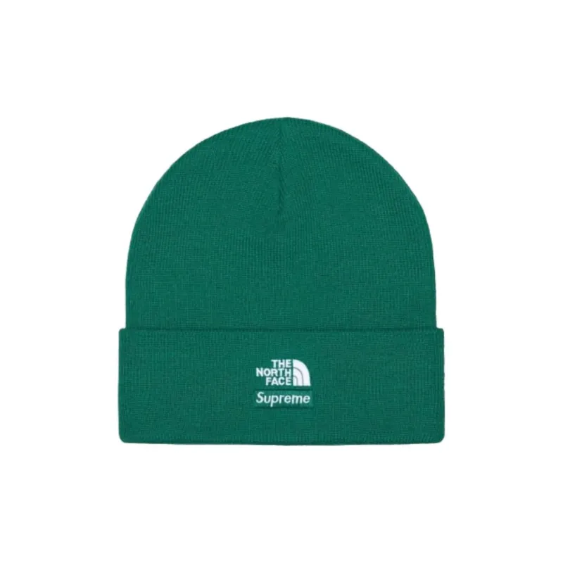 Supreme X The North Face Beanie-1