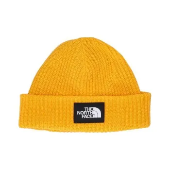 THE NORTH FACE Salty Lined Beanie