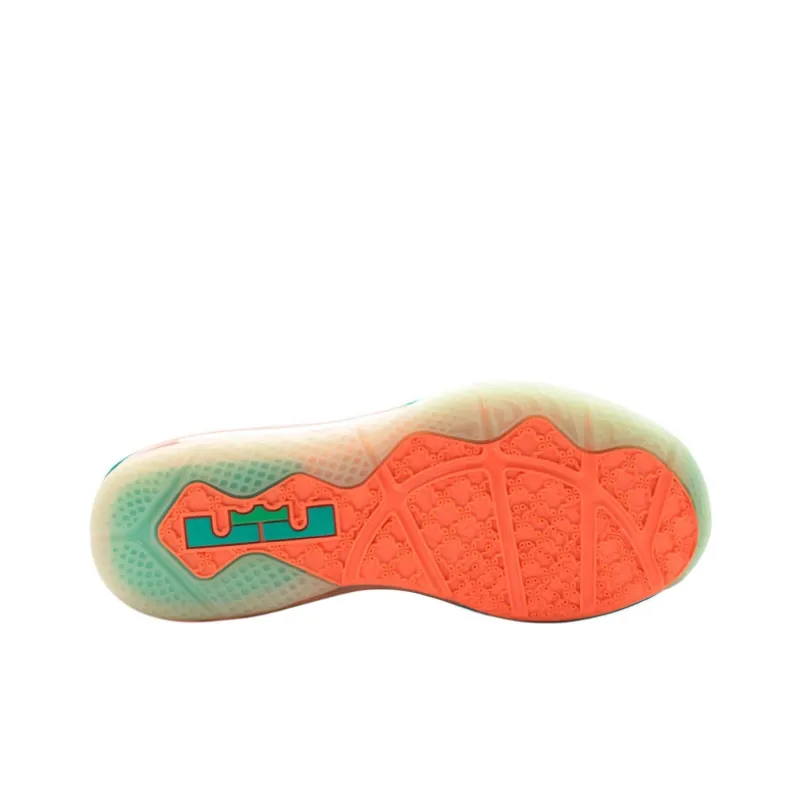 Nike LeBron 9 Low LeBronald Palmer PE-4
