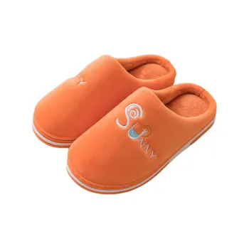 TZLDN Slippers / Home Slippers