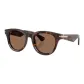 Tortoiseshell