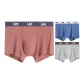 Refined Box 3 Pack (Greige+Red+Blue)