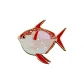 Moon Fish