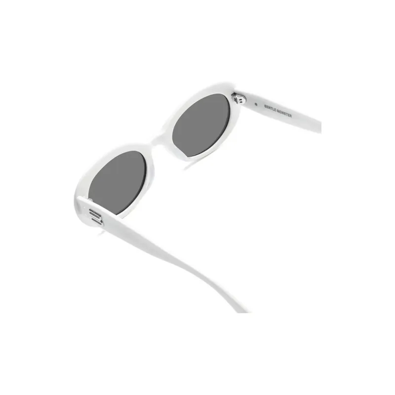 GENTLE MONSTER La Mode Tinted Sunglasses-3