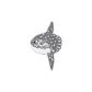 Sunfish