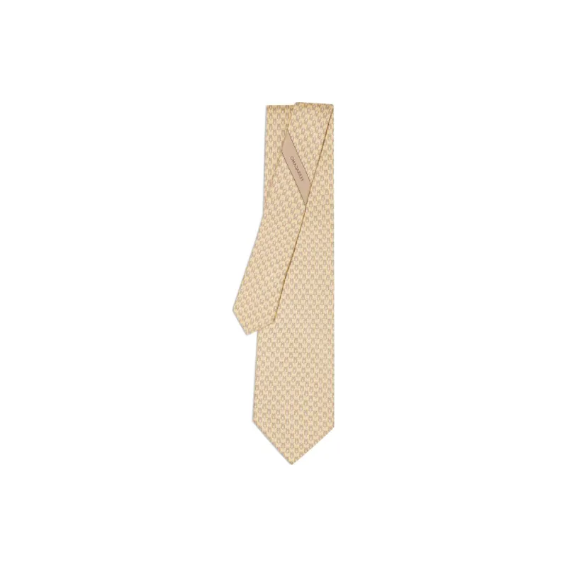 Ferragamo Scooter print Silk Tie-0