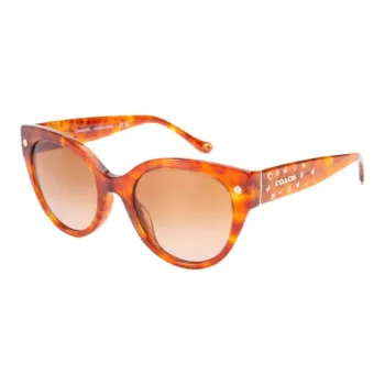 COACH Plate Frame Cat Eye Sunglasses Women's Tortoiseshell