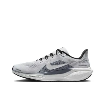 Nike Air Zoom Pegasus 41 Photon Dust Metallic Silver
