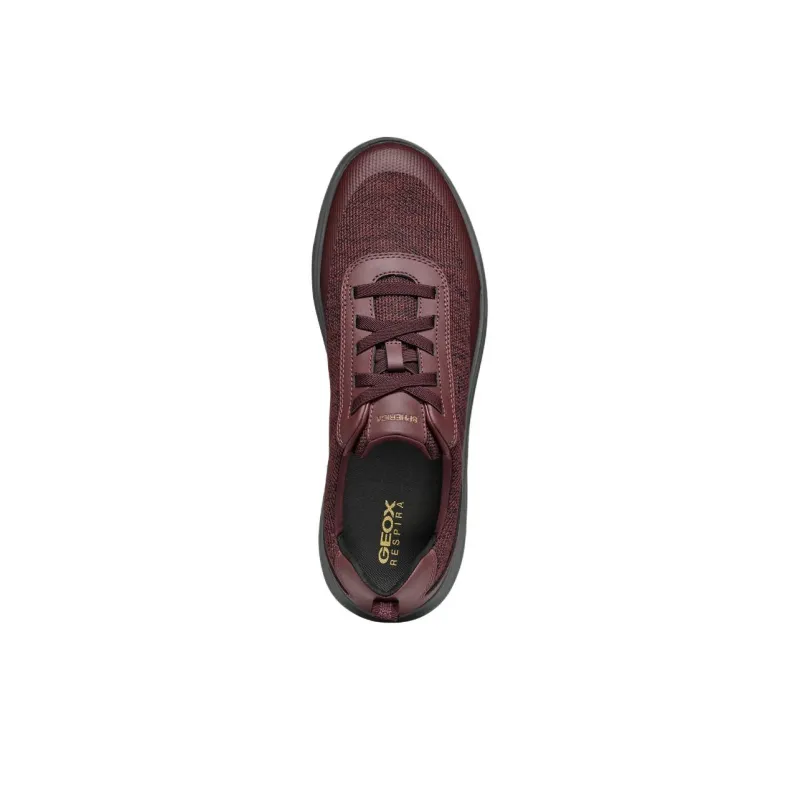 GEOX Spherica Anti-Slip Wear-Resistant Low-Top Casual Shoes Men's Burgundy-4