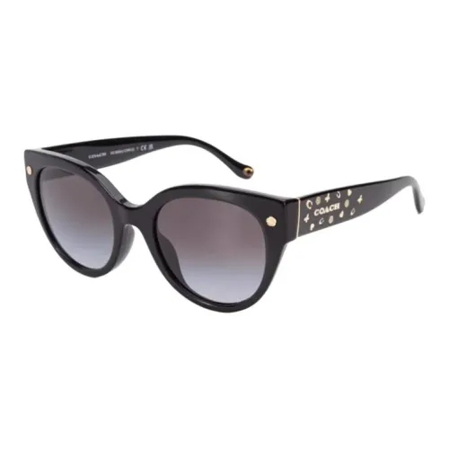 COACH Plate Frame Cat Eye Sunglasses Women's Black