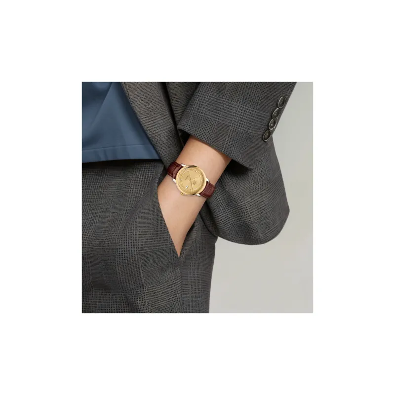 OMEGA Automatic Mechanical Movement Men's Watches Watch 40mm Gold Dial Stainless Steel Watch Case-3