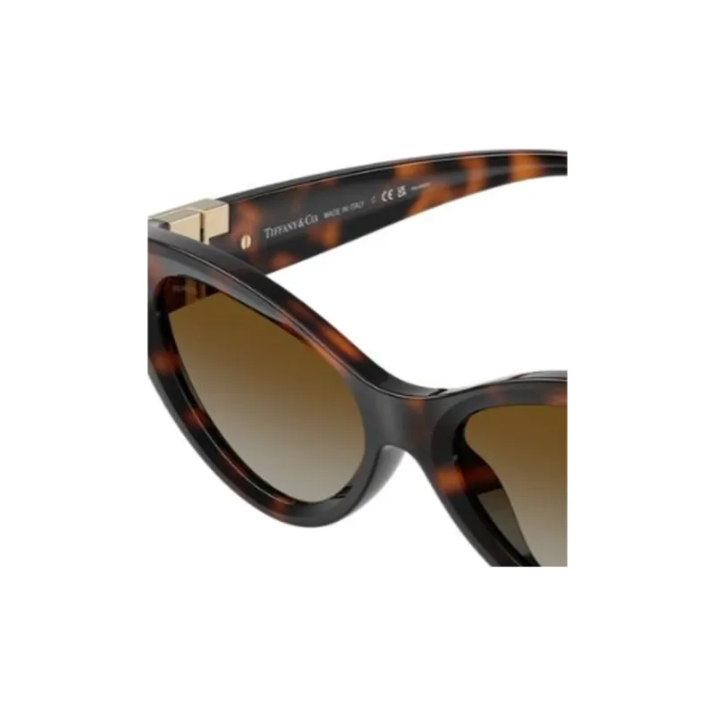 TIFFANY & CO. Triangle Frame Sunglasses-2