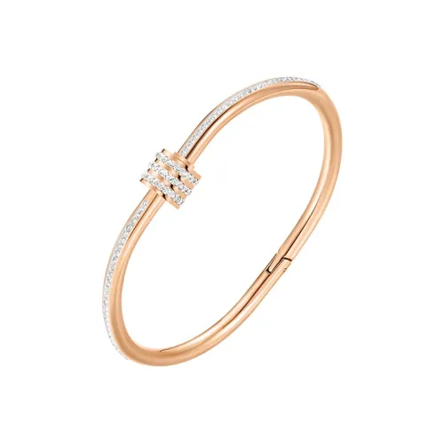 LILY&LOTTY Titanium Steel Bangles Women's