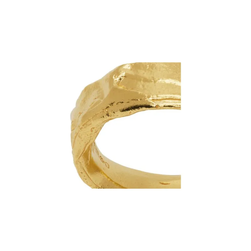 Alighieri Recycled 925 Silver Rings Men's Gold-1
