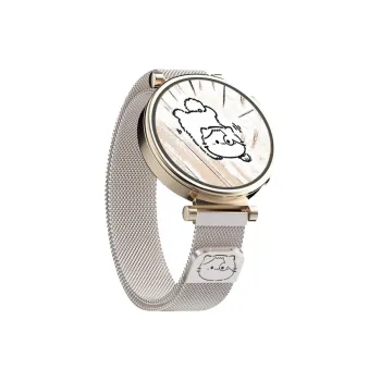 Biaodaige Watch Band Huawei Compatibility Stainless Steel Material