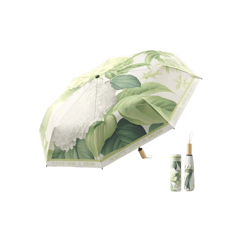 A good thing Umbrellas-3