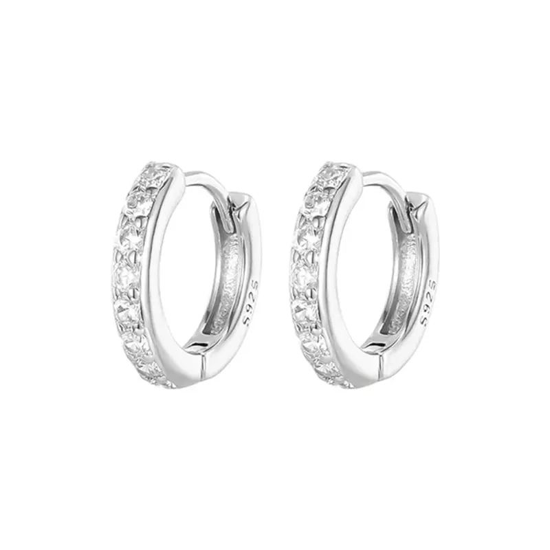 ZANC S925 Silver Stud Earrings Women's-3