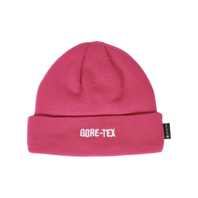 PALACE GORE-TEX Tri-Ferg Patch Beanie-1