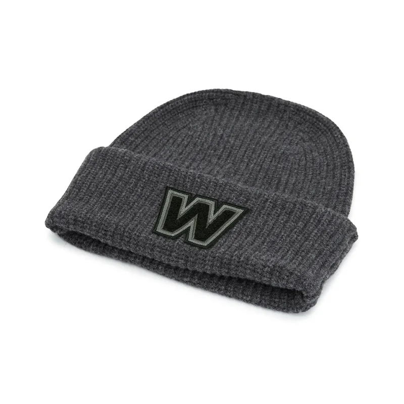 MaxMara Virgin Wool Beanies Unisex Gray-2