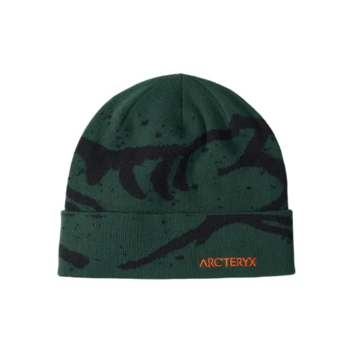 Arcteryx Polyester Beanies Unisex Green